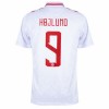 Maglia ufficiale Danimarca Hojlund 9 Casa Euro 2024 per Uomo